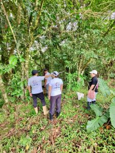 ce8e5b3d-be85-4fc3-866d-78568f181377